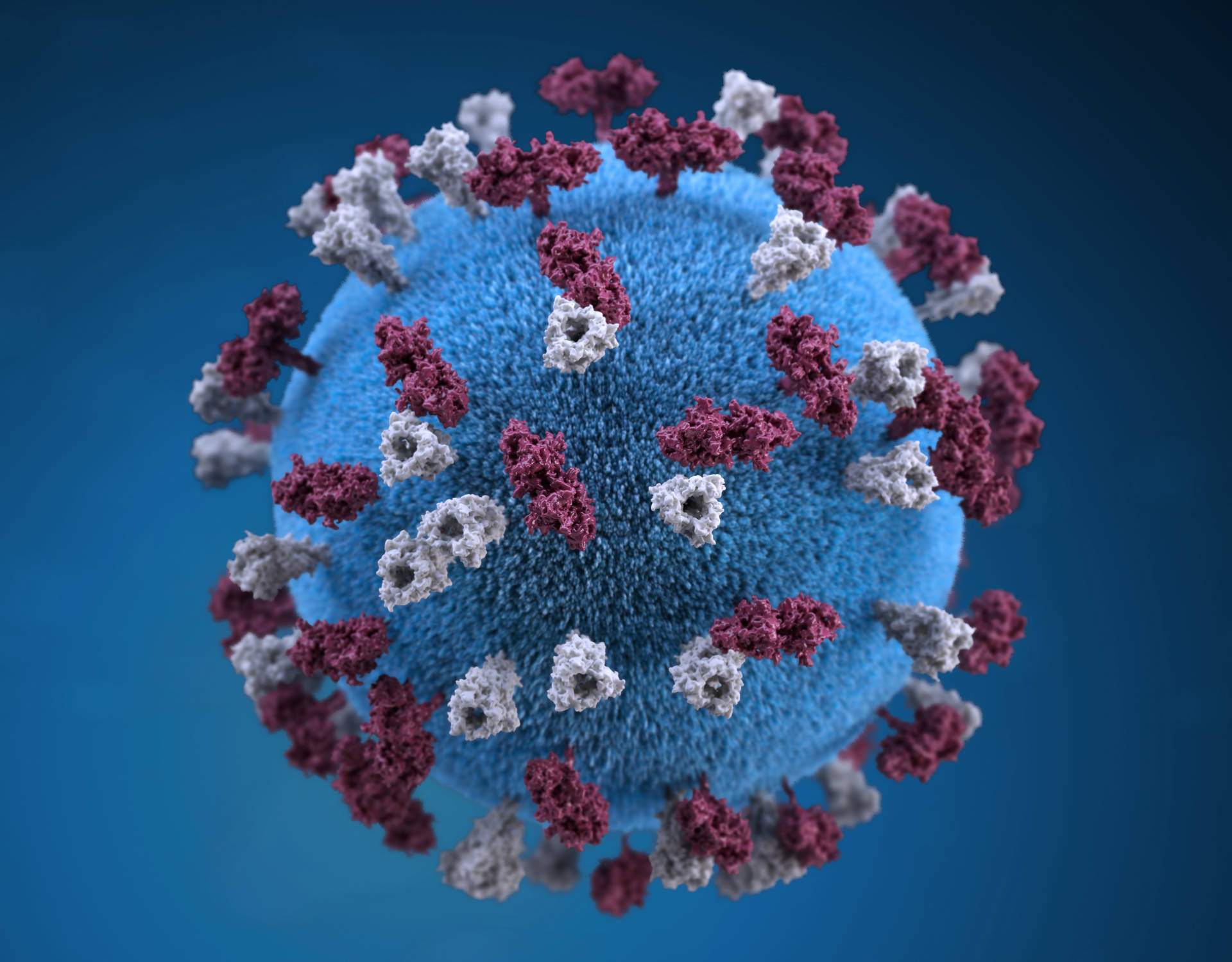 3d Virus Image