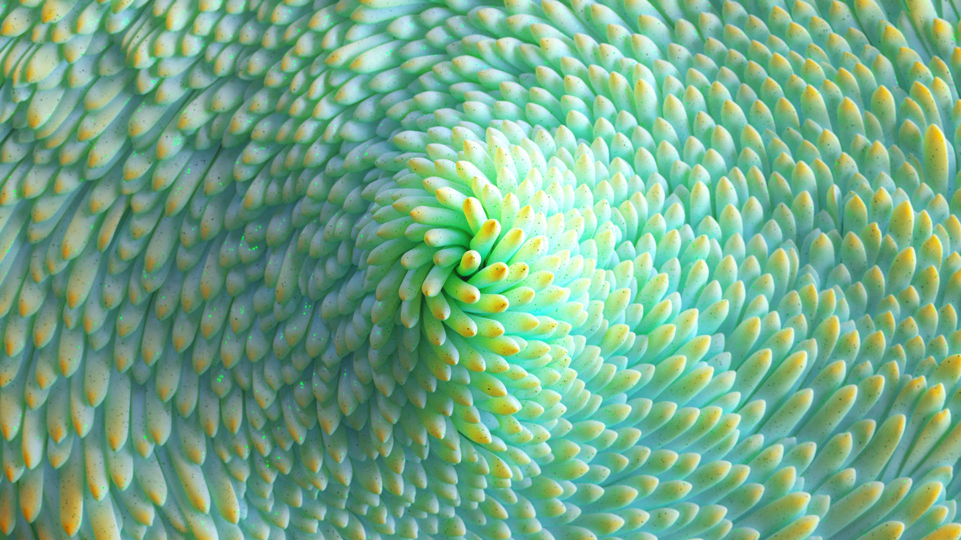4d Ultra Hd Close-up Of Green Succulent