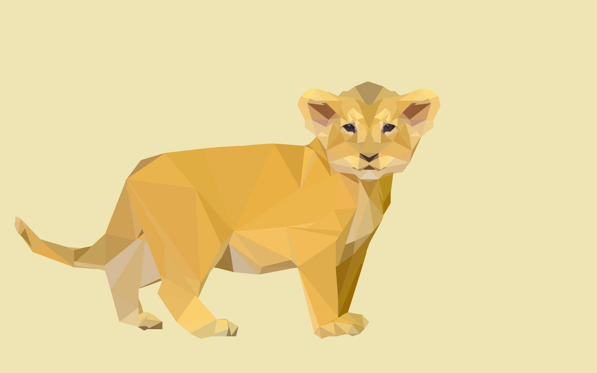 4D Ultra HD Lion Cub Wallpaper