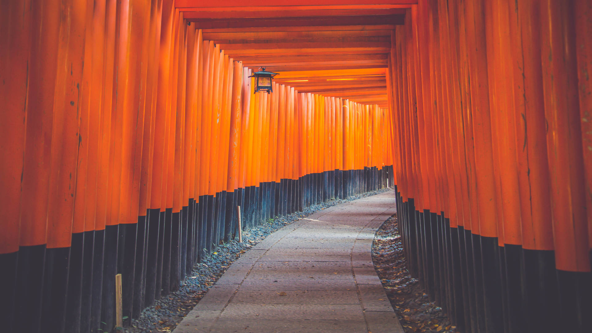 4k Architecture Fushimi Inari Shrine Gateways Wallpaper