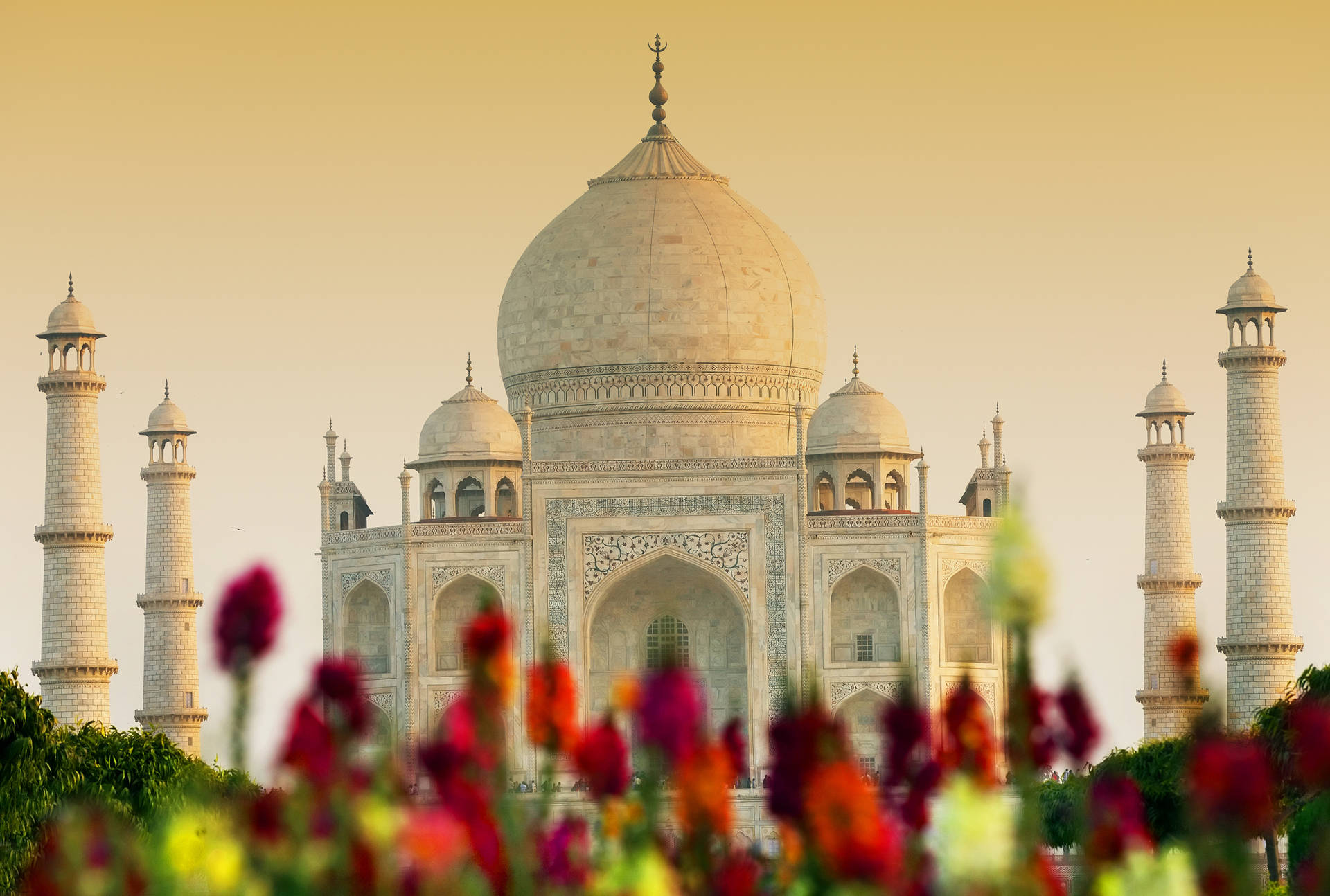 4k Architecture Taj Mahal With Flowers Wallpaper