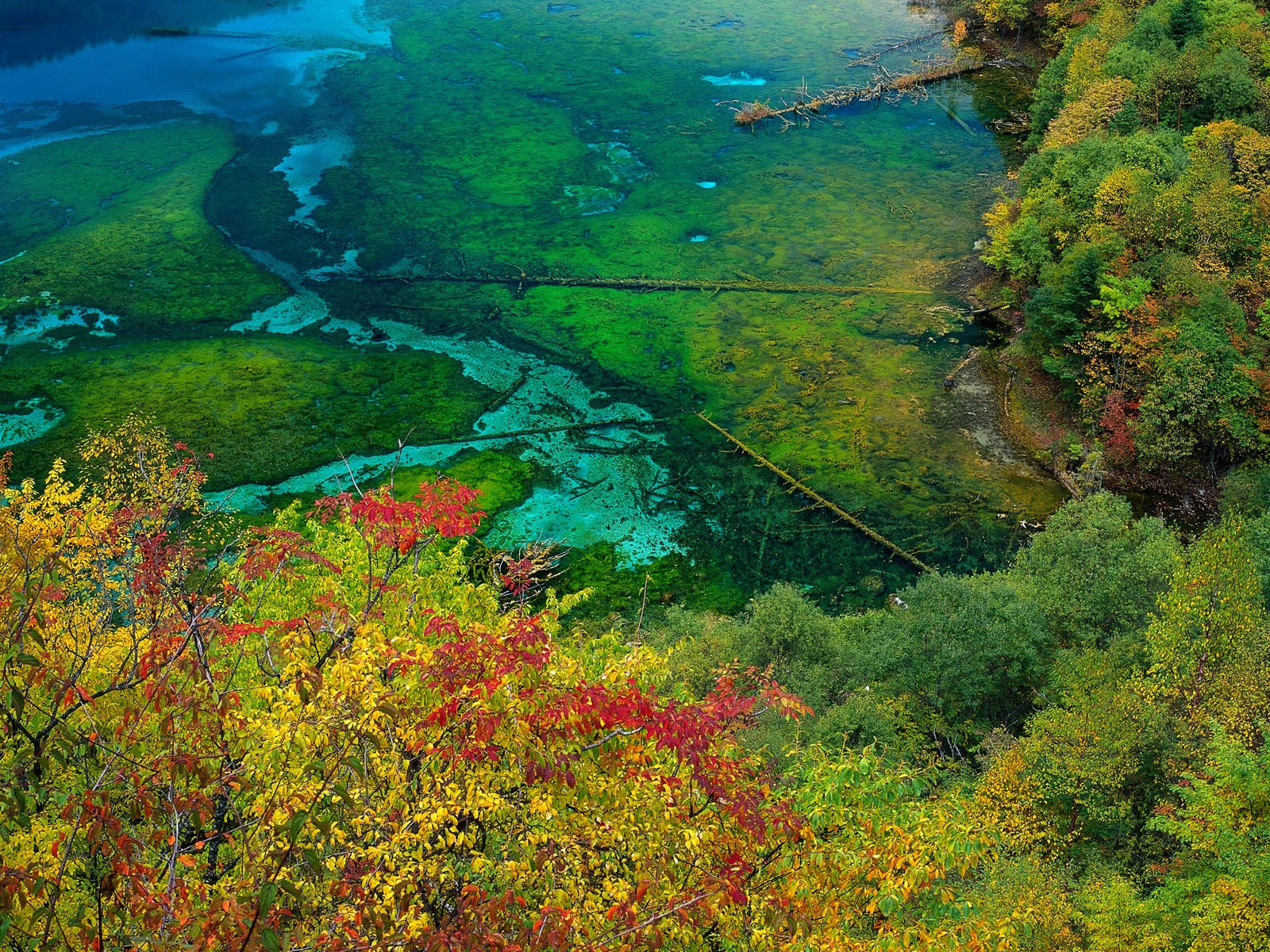 4k Autumn Jiuzhai Valley