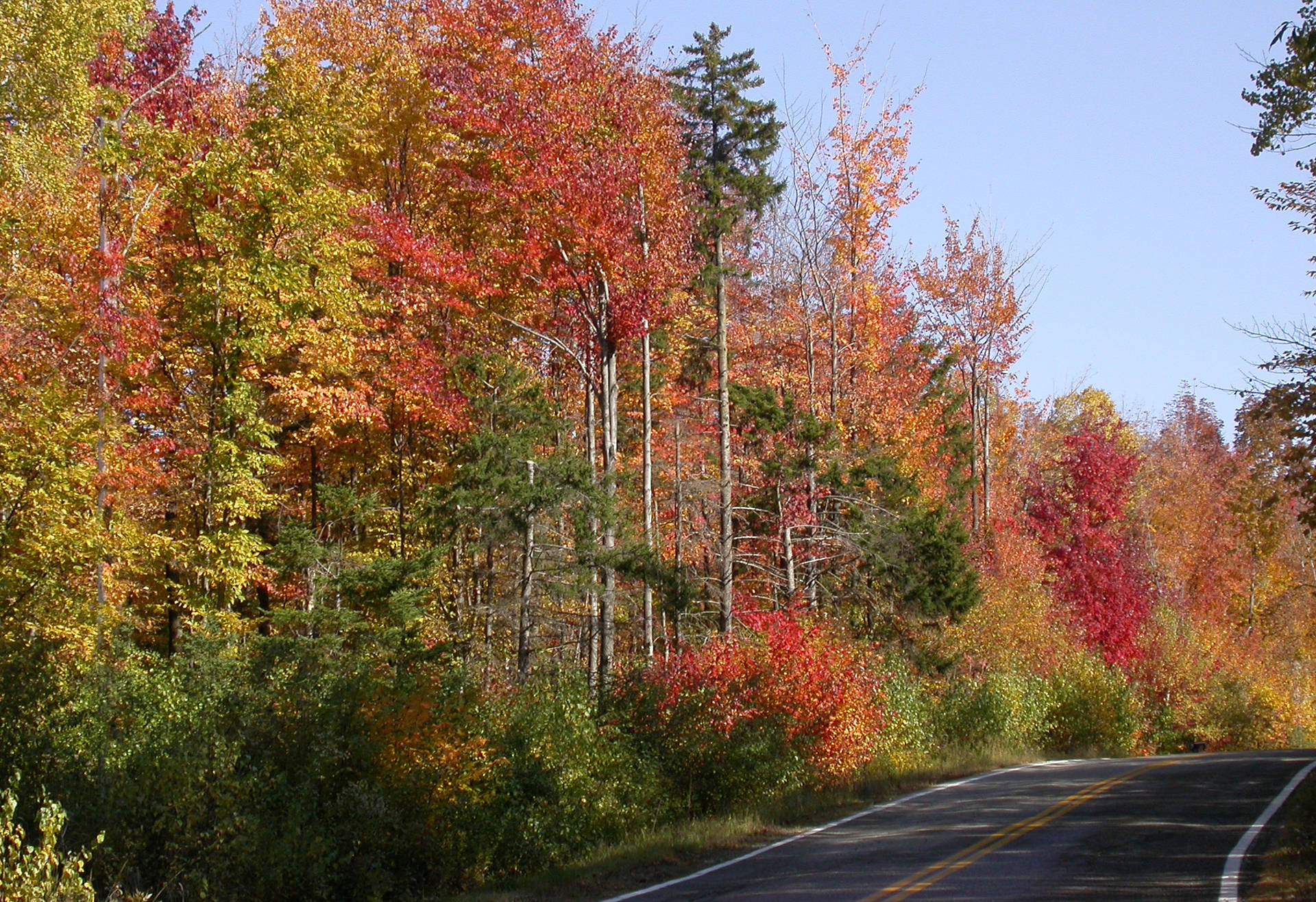 4k Autumn New Hampshire Highway Wallpaper