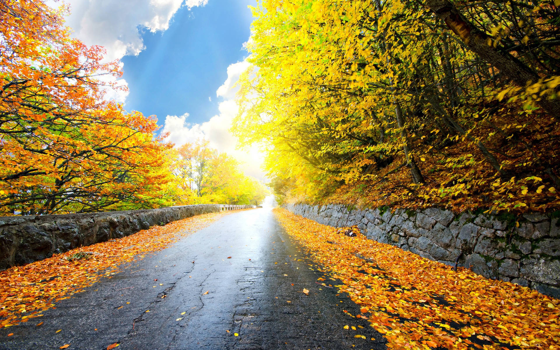 4k Autumn Road Wallpaper