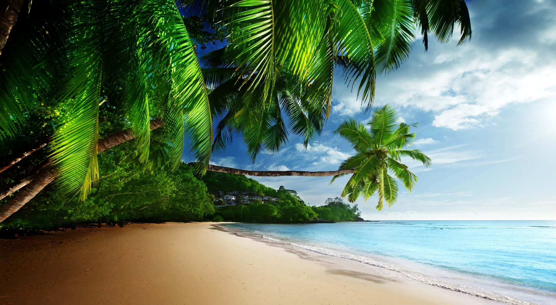 Unatranquila Y Hermosa Playa Caribeña En 4k