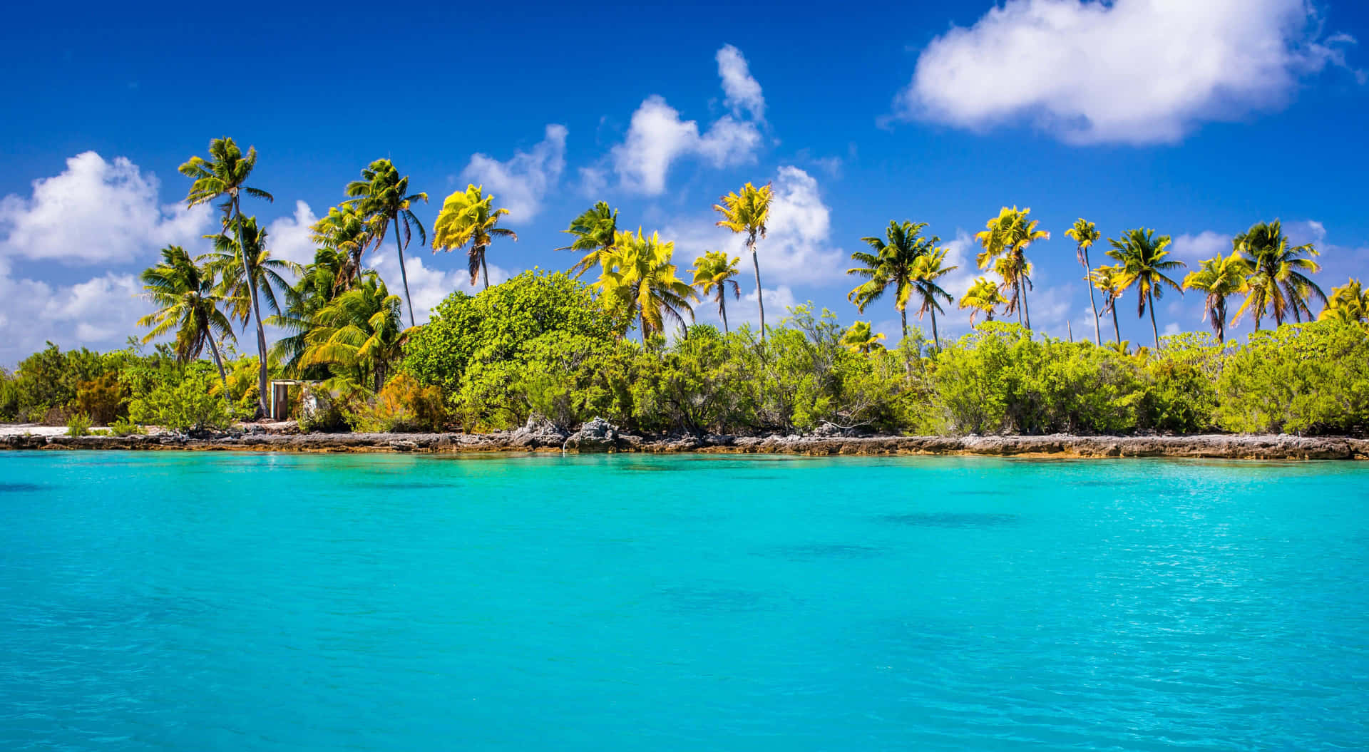 A Blue Water With Palm Trees And A Blue Sky
