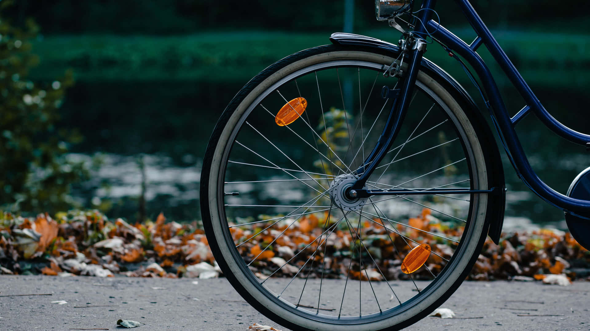 Njutav Spänningen Med Cykling Med En 4k Cykelupplevelse.