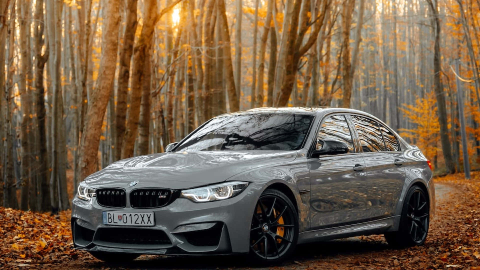 Experience the power of 4K behind the wheel of a BMW