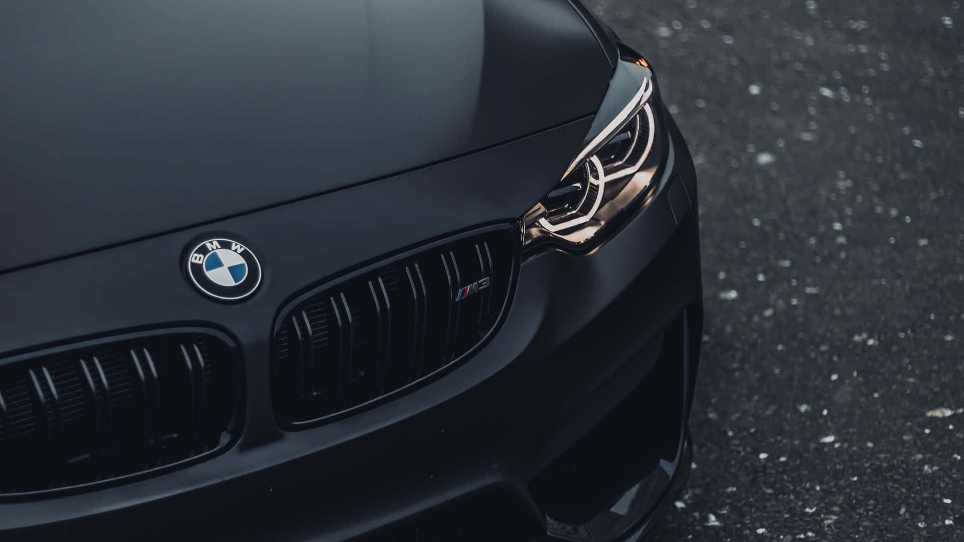 Get ready for the ride of your life with this sleek 4K BMW