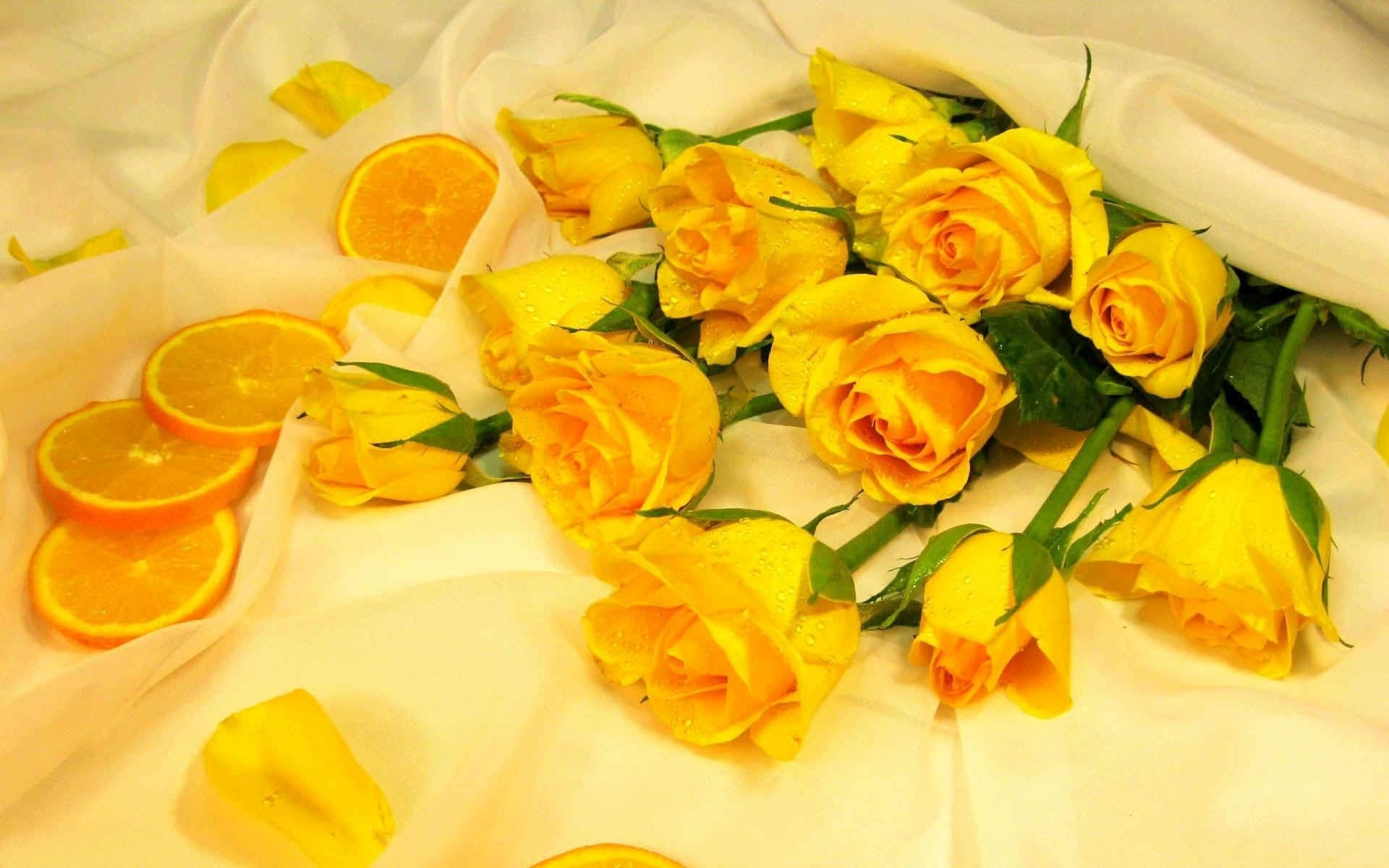 4K-pakke af gule roser tæppe tapet Wallpaper