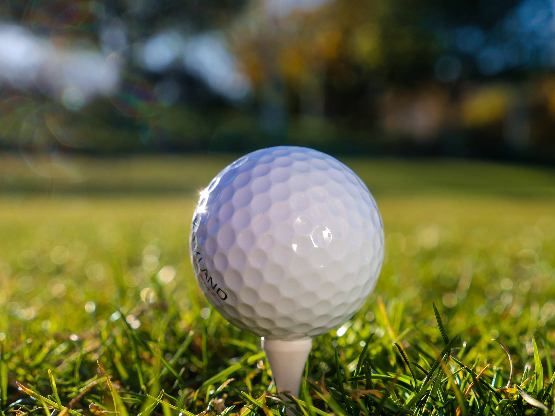 4k Close-up Photo Of Golf Ball Wallpaper