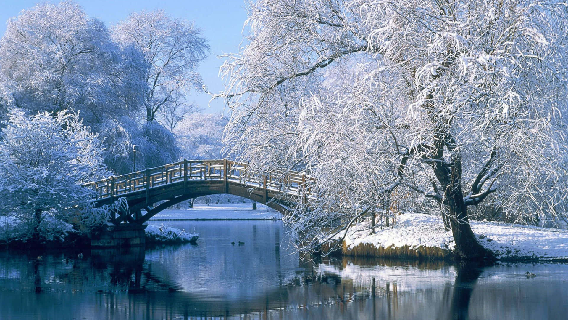 Einebrücke Über Einen Gefrorenen Fluss Mit Schneebedeckten Bäumen.