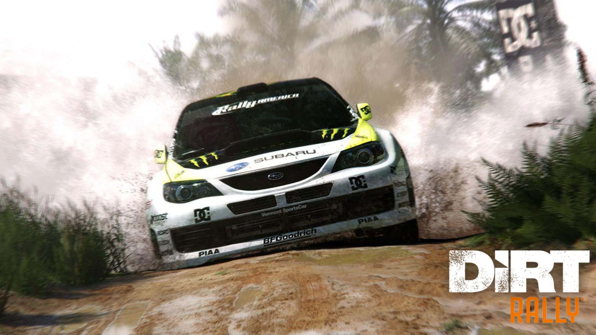 Dirt Rally - Screenshot