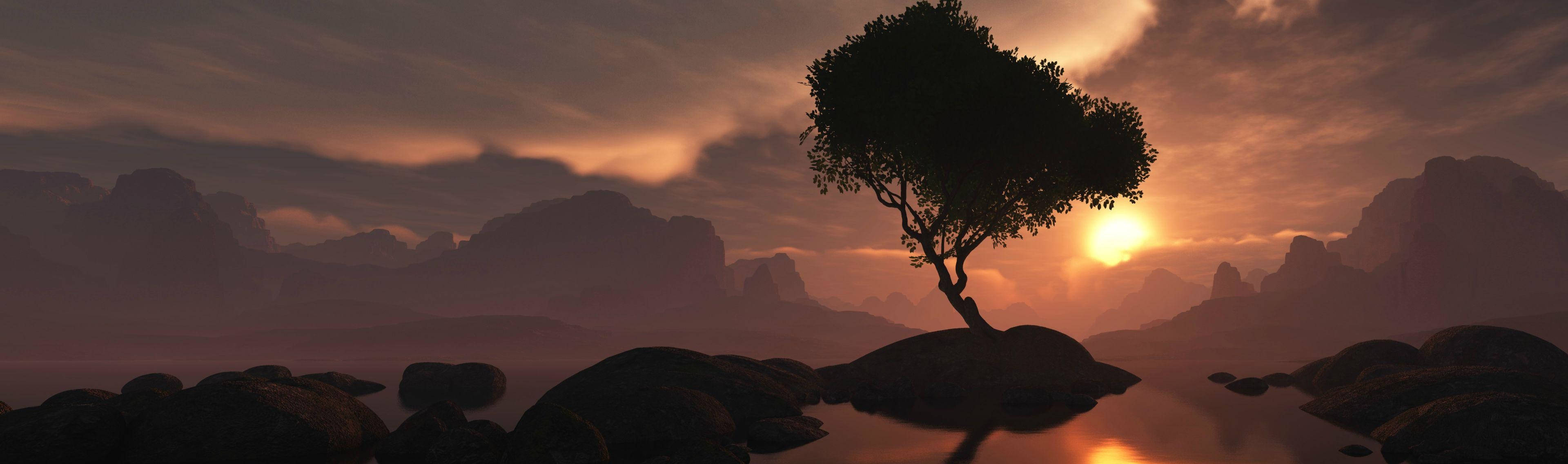 4K Dual Monitor Tree On Mountain Edge At Sunset Wallpaper