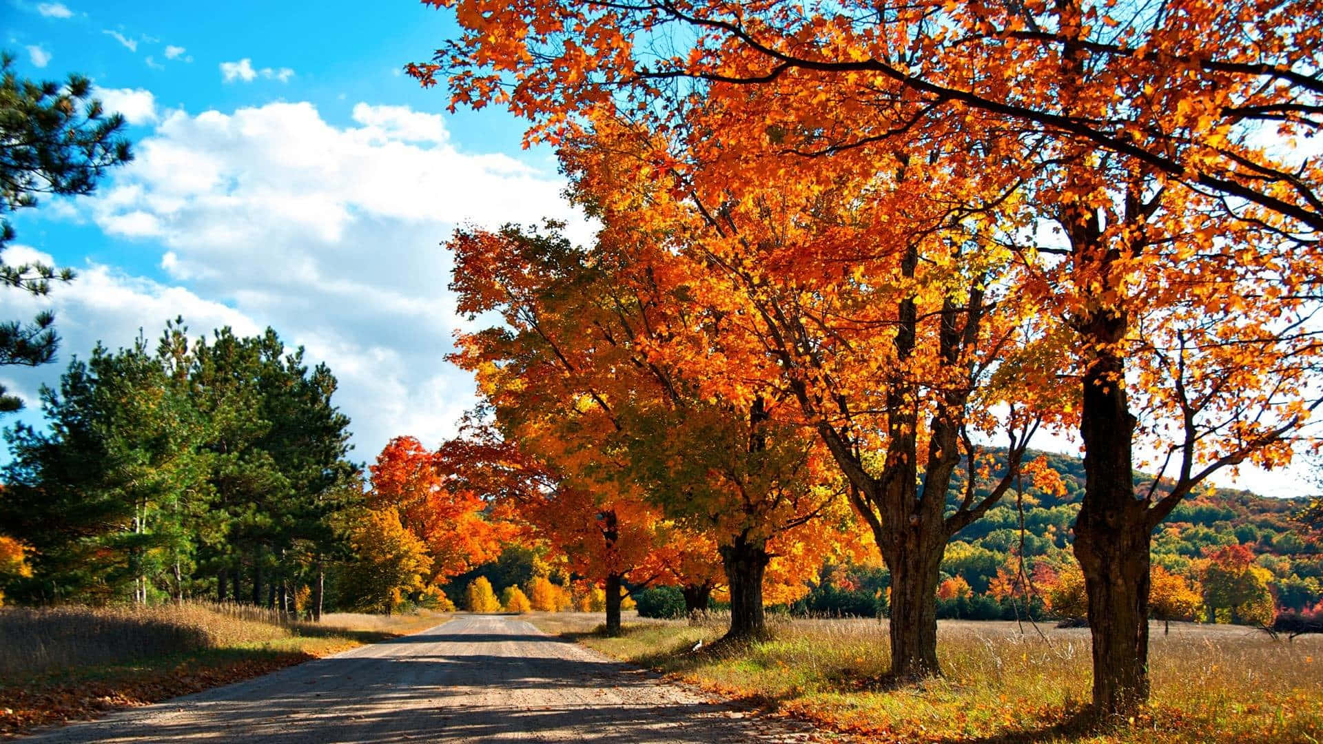 Nyde det skønne udsigt fra efteråret i 4K billede. Wallpaper
