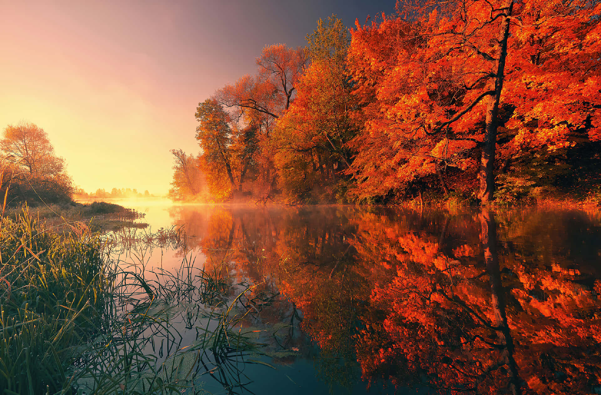 Enjoy the vibrant beauty of the fall season Wallpaper