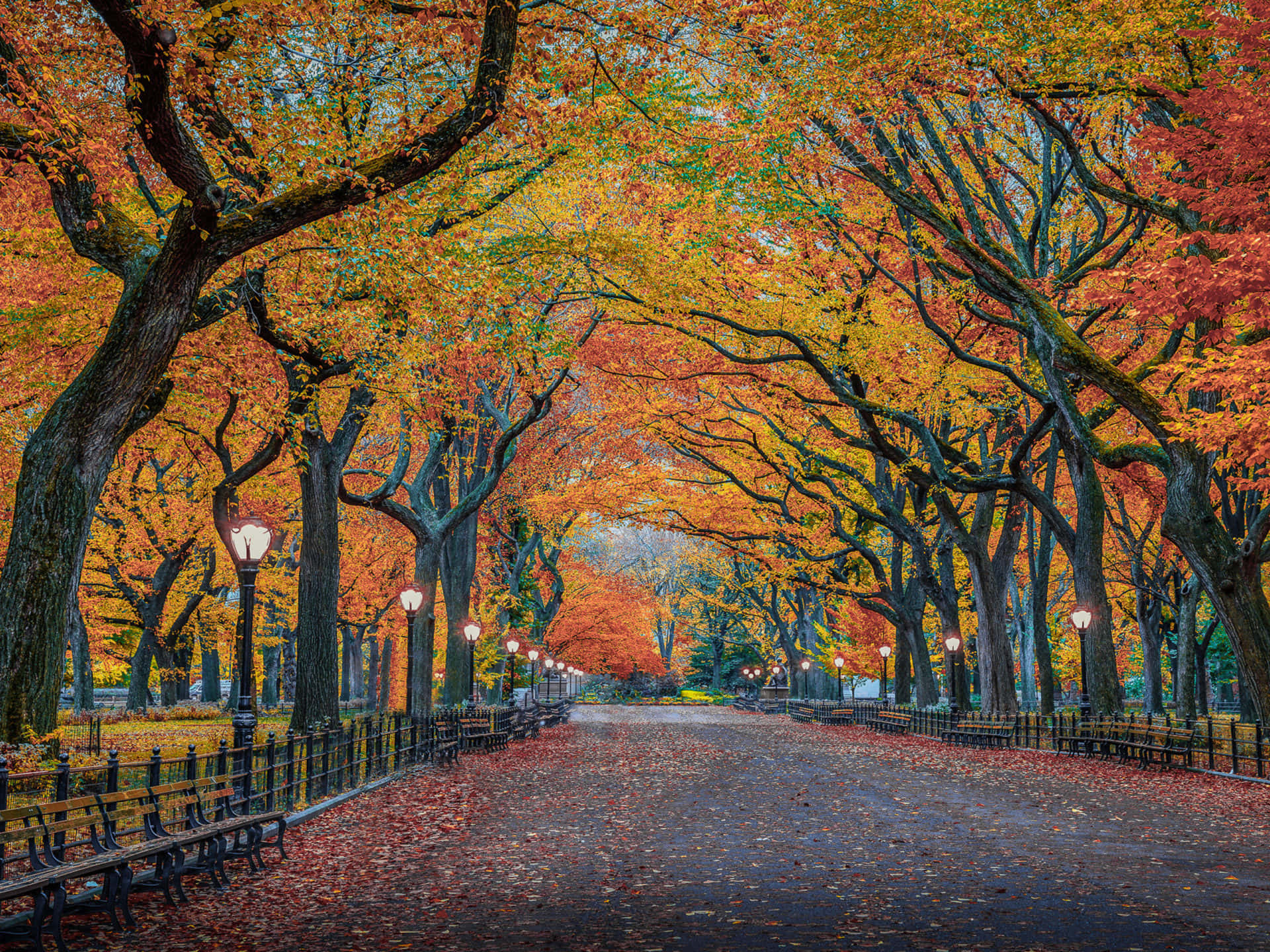 Tag indvirkningen af ​​efteråret midt i naturen Wallpaper
