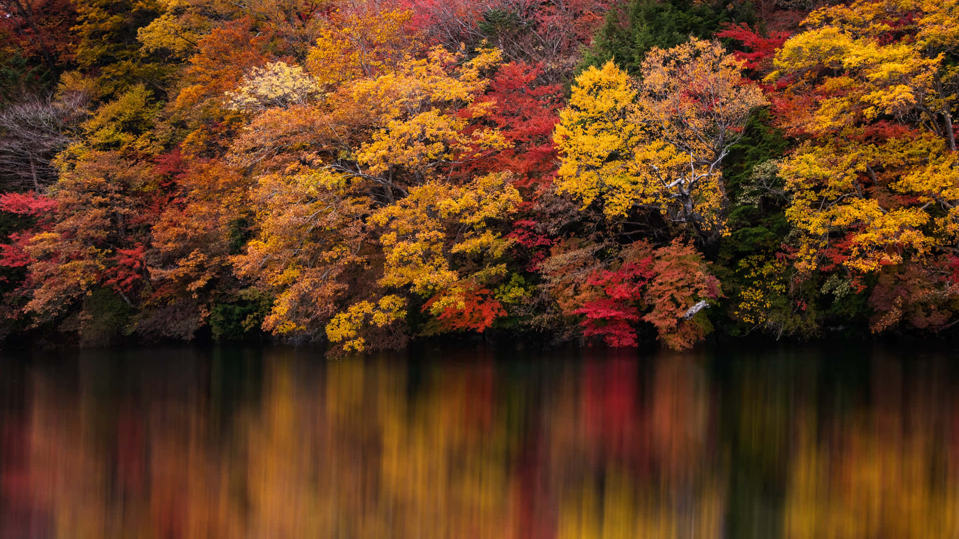 Nyd det farverige skifte af sæsoner med en 4k efterårswallpaper. Wallpaper