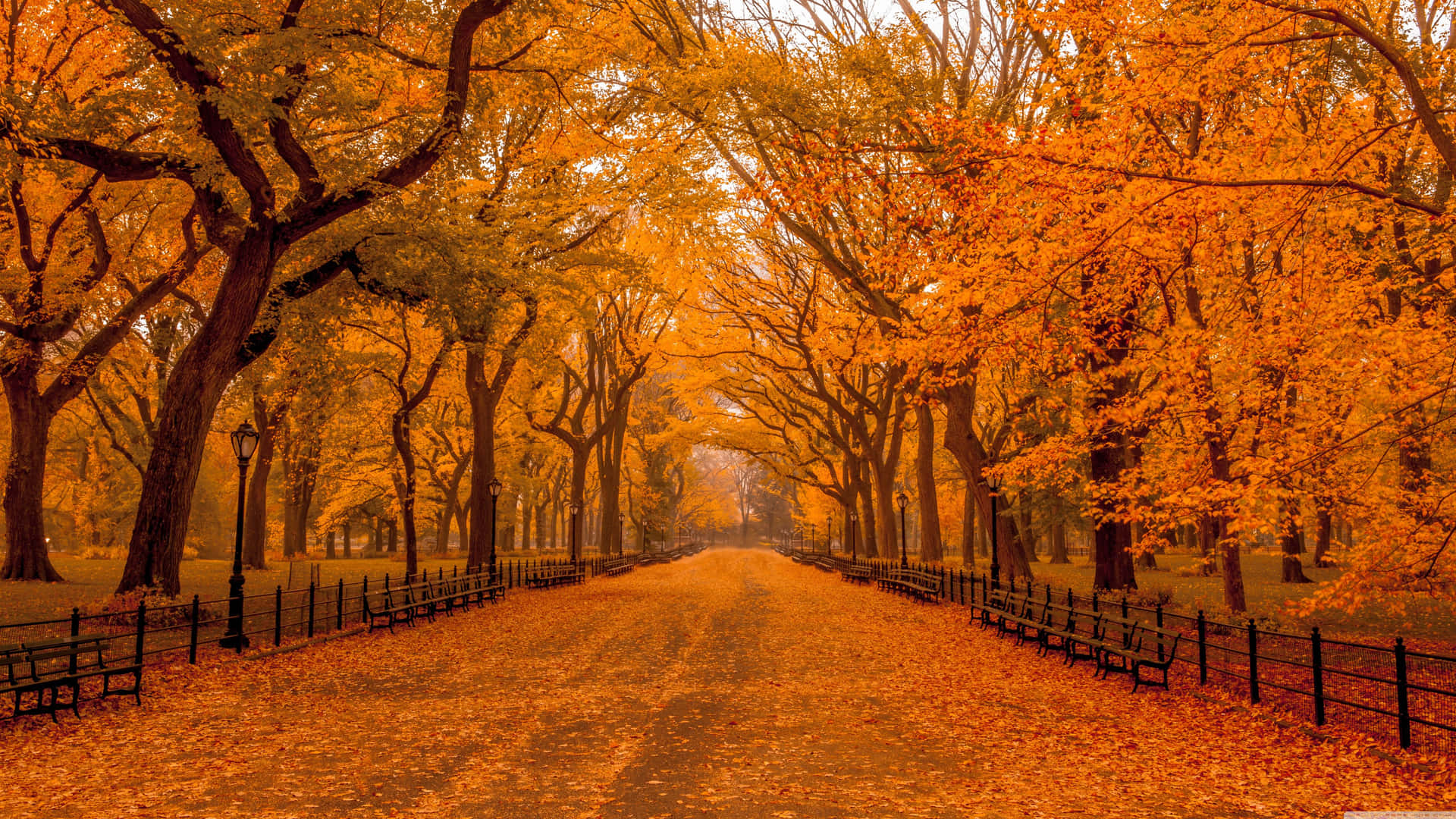 "Change is in the Air - Visualize the Splendor of Fall in vivid Ultra HD" Wallpaper
