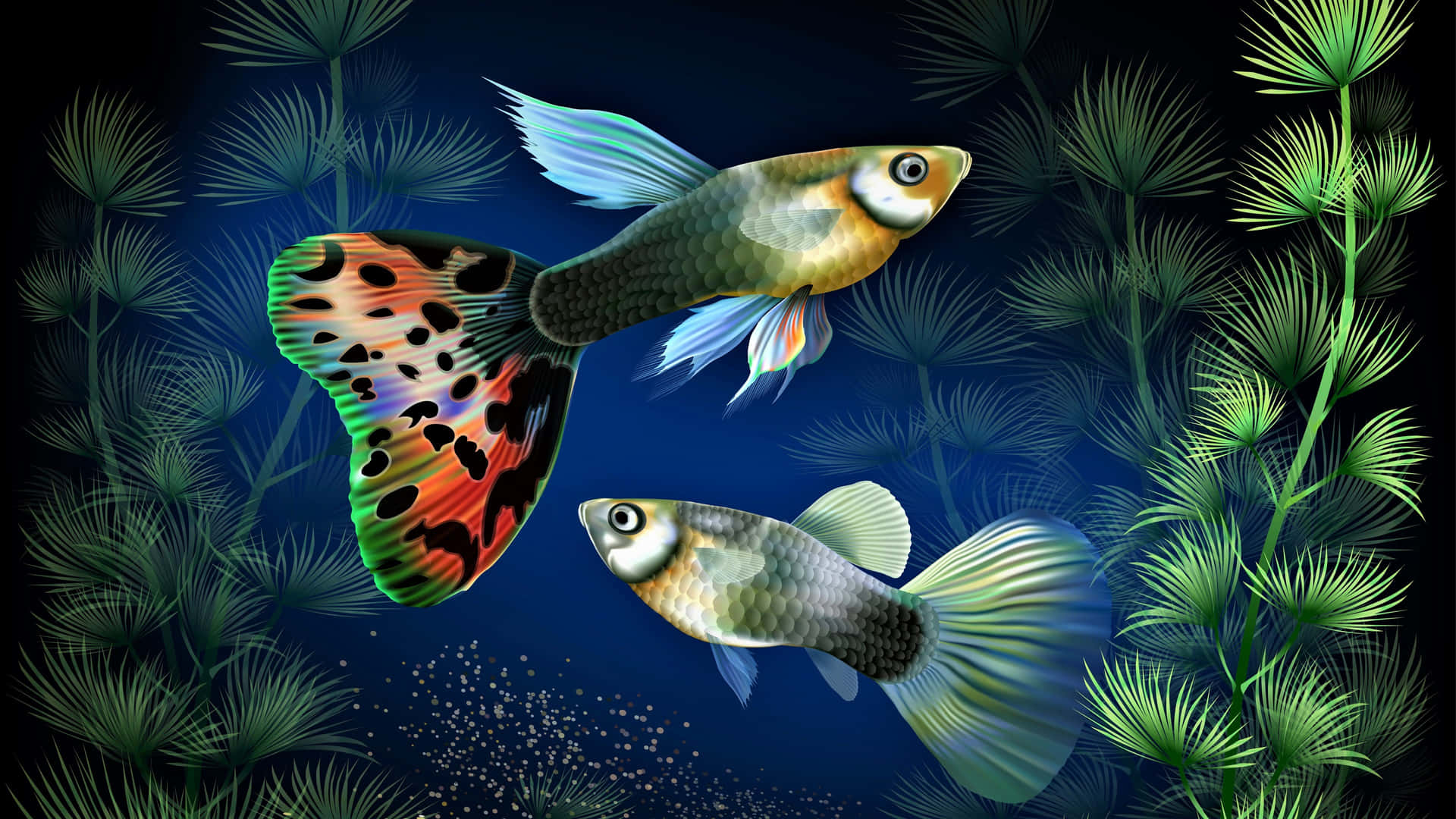 Colorful Fish Swimming in a Coral Reef Wallpaper