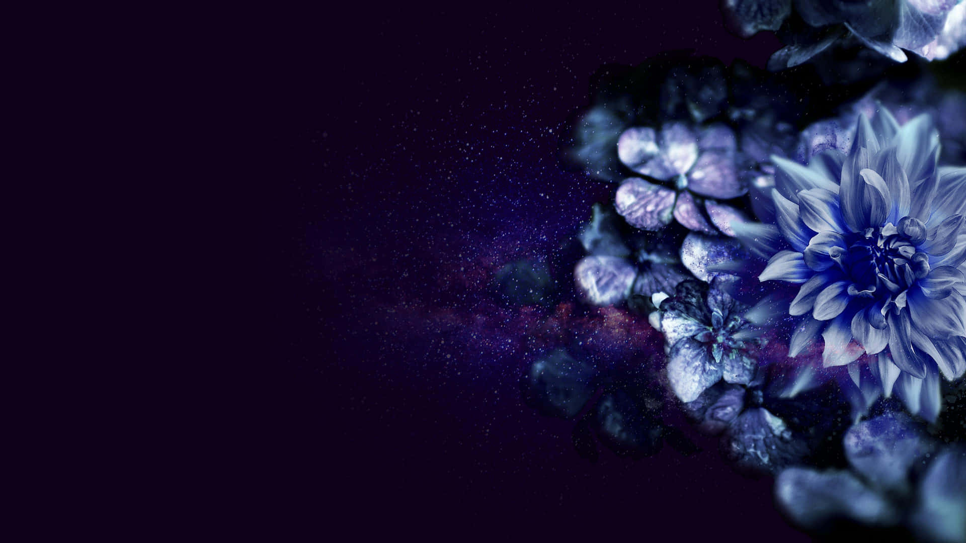 4K Flowers On Galaxy Background