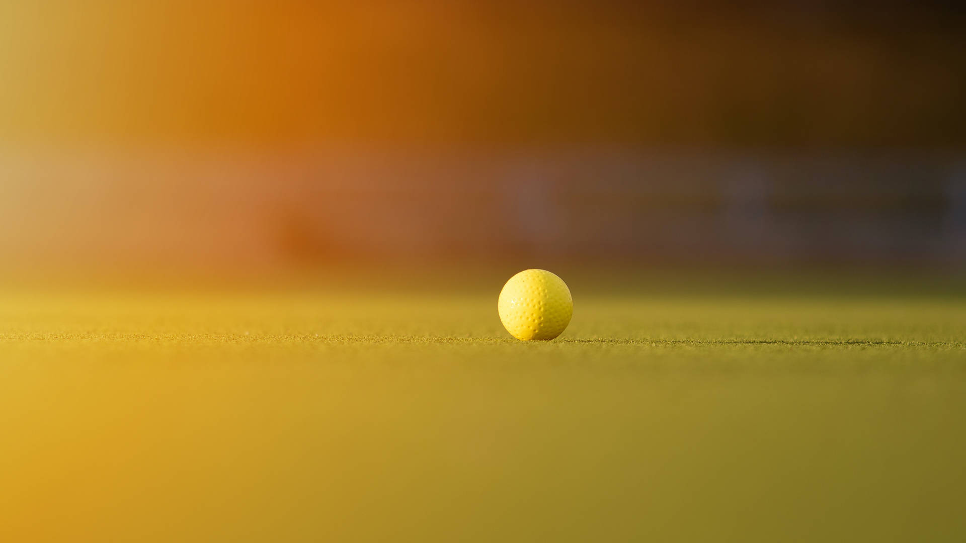 4k Focused Golf Ball Wallpaper