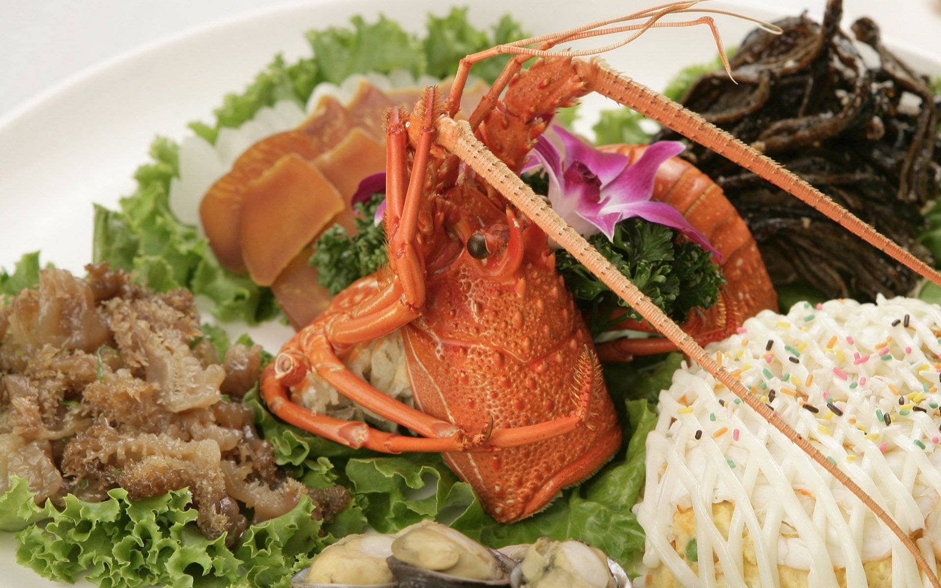 4k Food Lobster With Salad Wallpaper