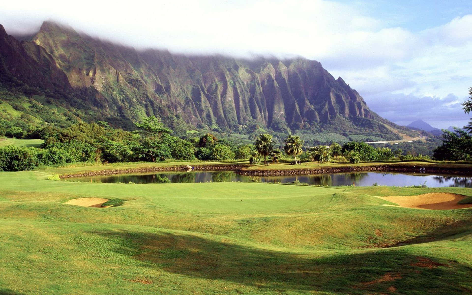 Stunning 4K Golf Course View