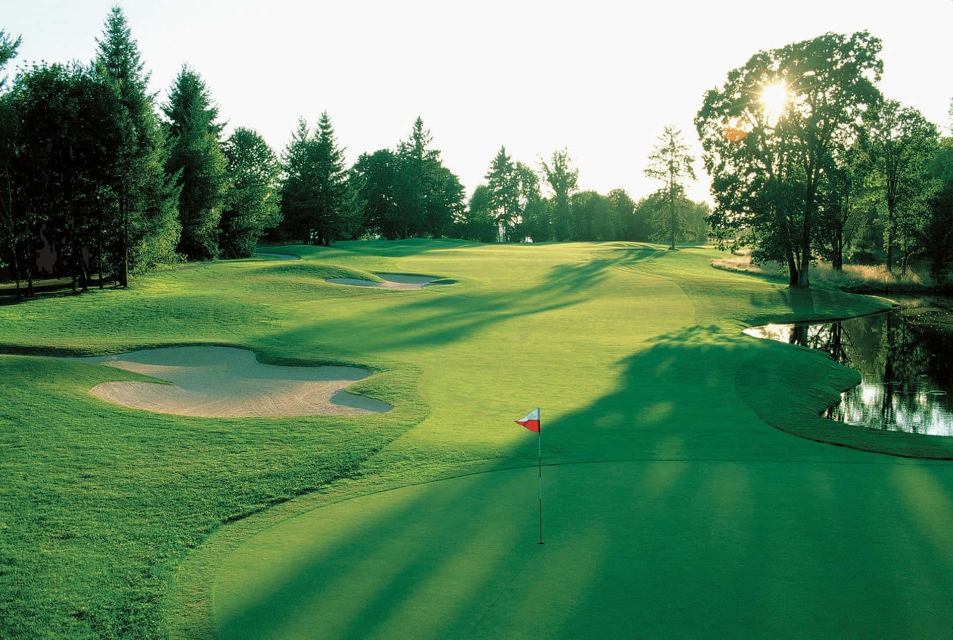 Stunning 4K Golf Course Scenery