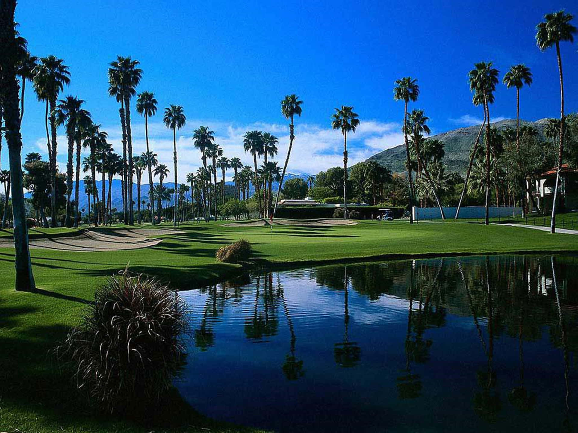 Stunning 4K Golf Course Scenery