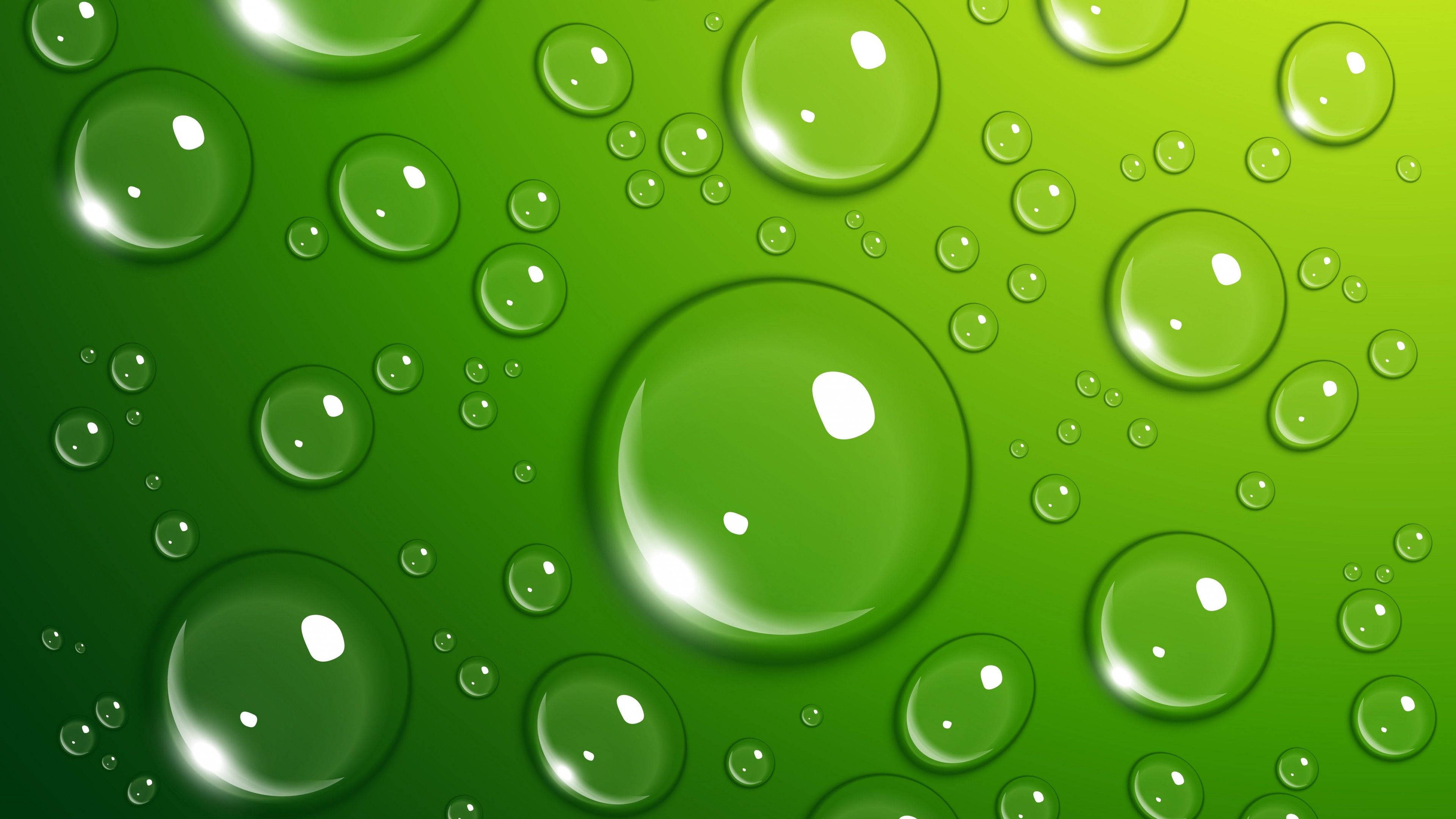 4k Green Water Droplets Wallpaper
