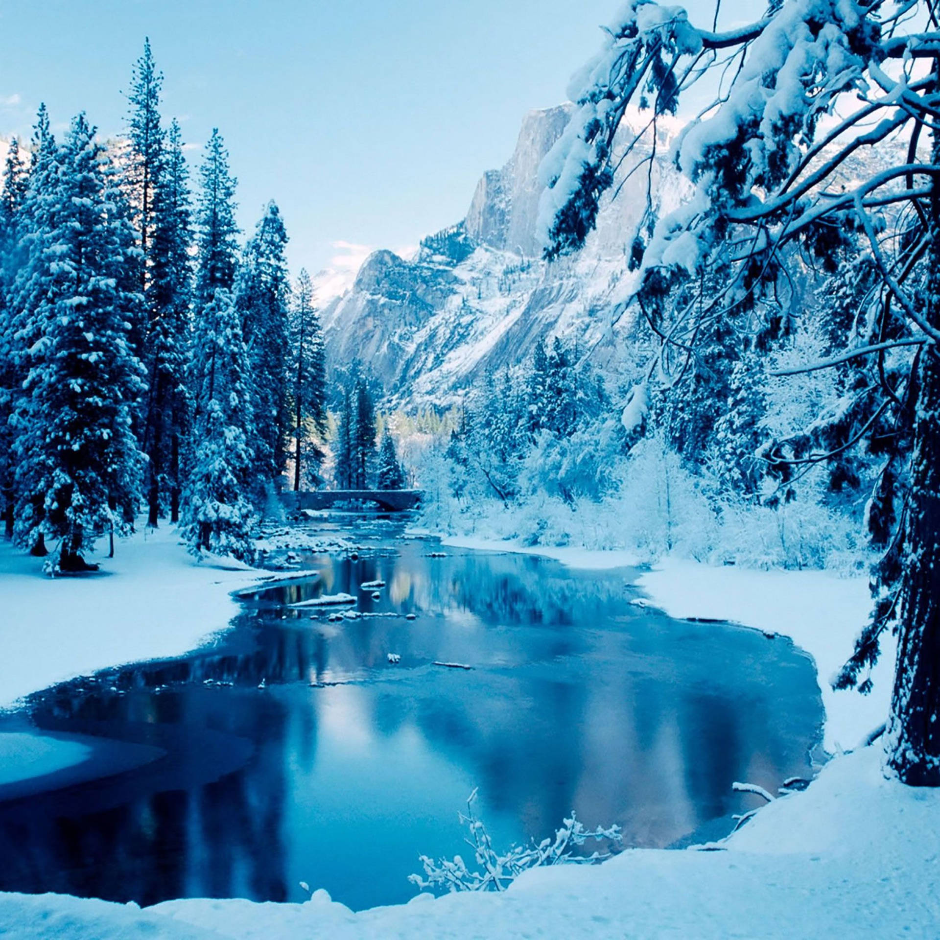 4k Ipad Winter Landscape