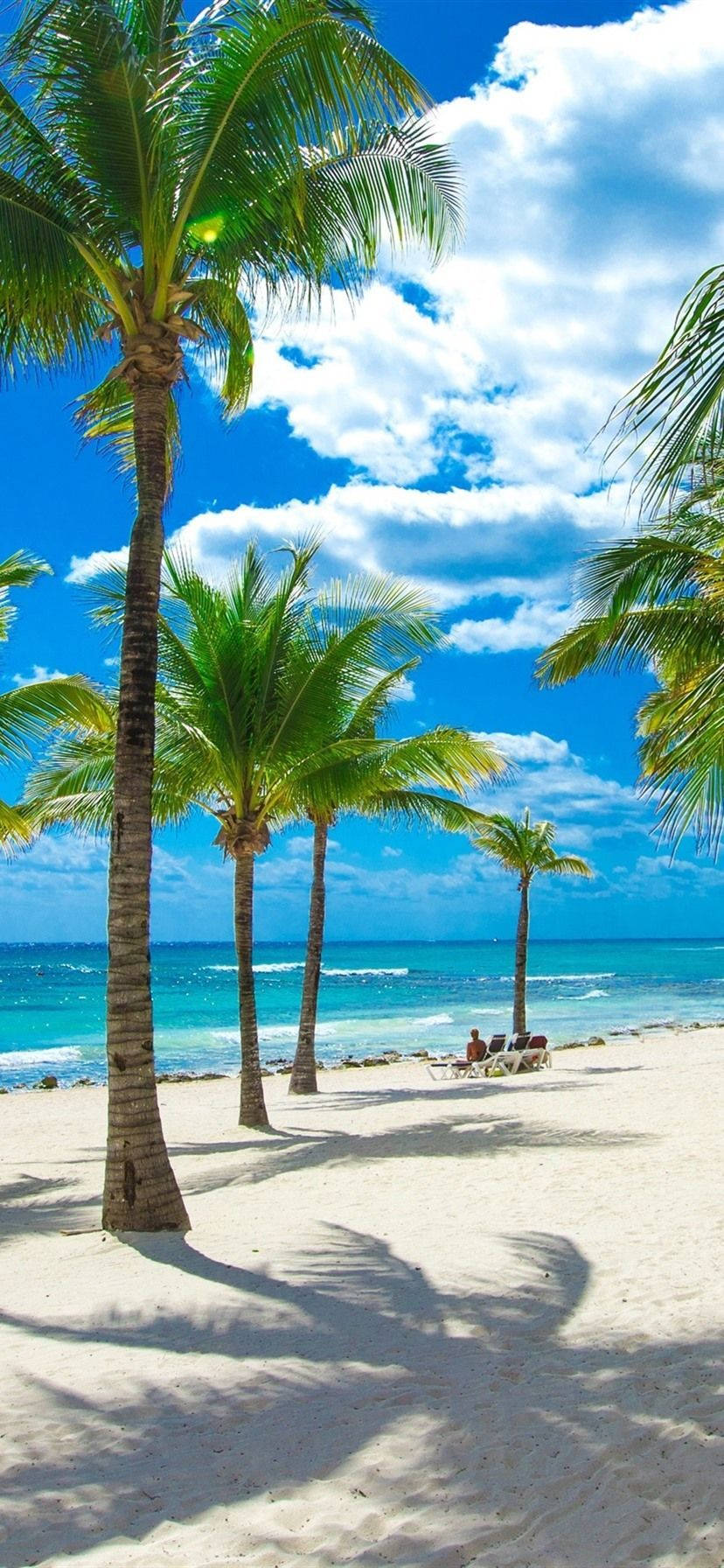 Download 4k Iphone Coconut Trees At Beach Shore Wallpaper 