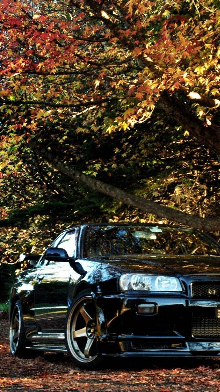 4k Jdm Nissan Skyline Under Autumn Tree Wallpaper