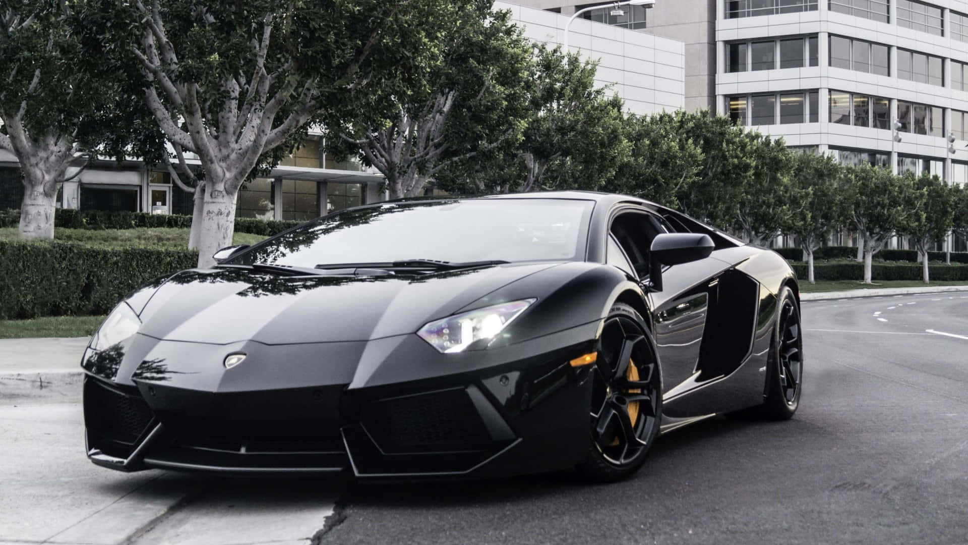 Chamea Atenção Com O Incrível Lamborghini Em 4k.