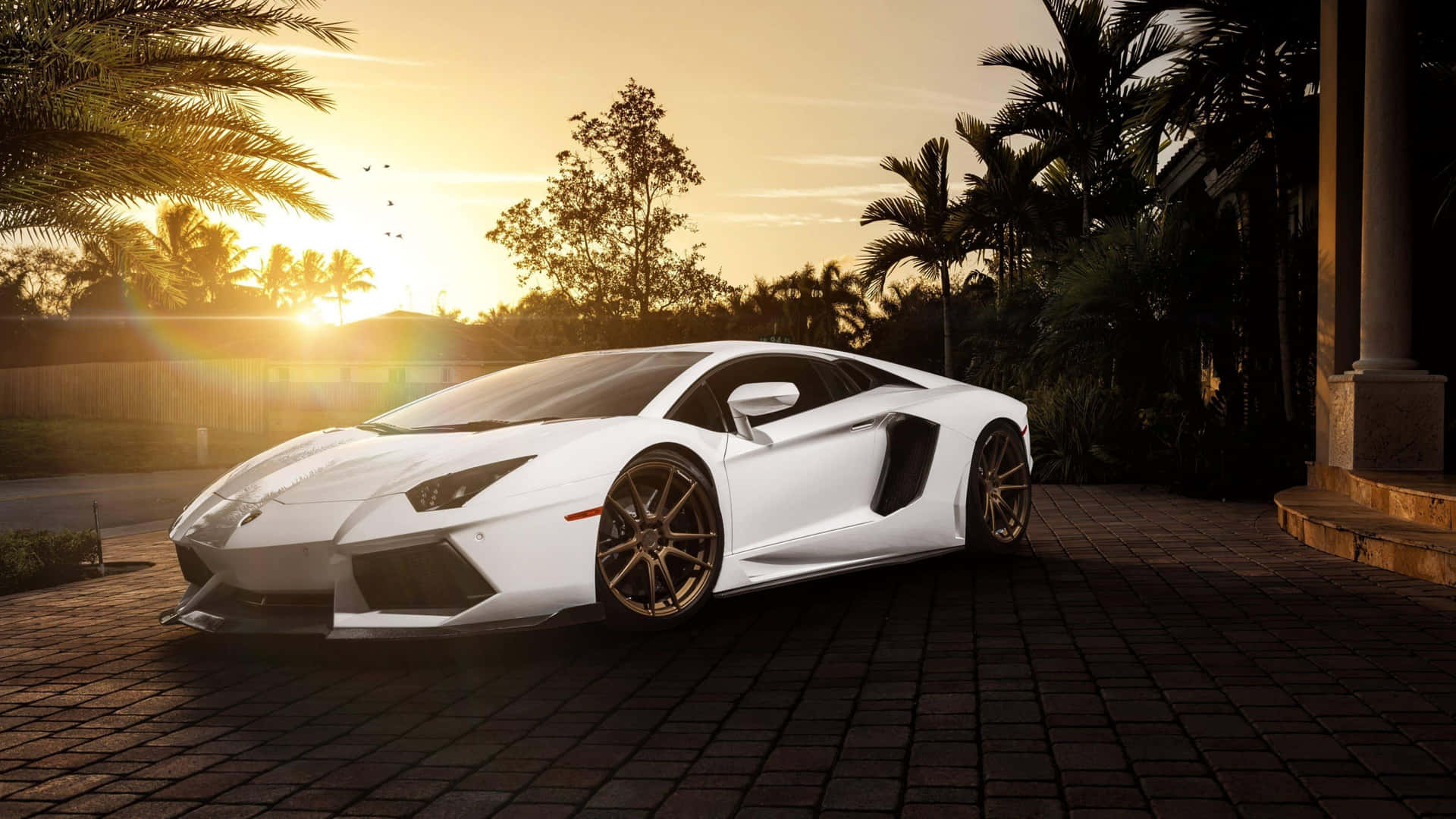 Lyxigaitalienska Bil-tillverkaren Lamborghinis Fantastiska 4k Superbil.