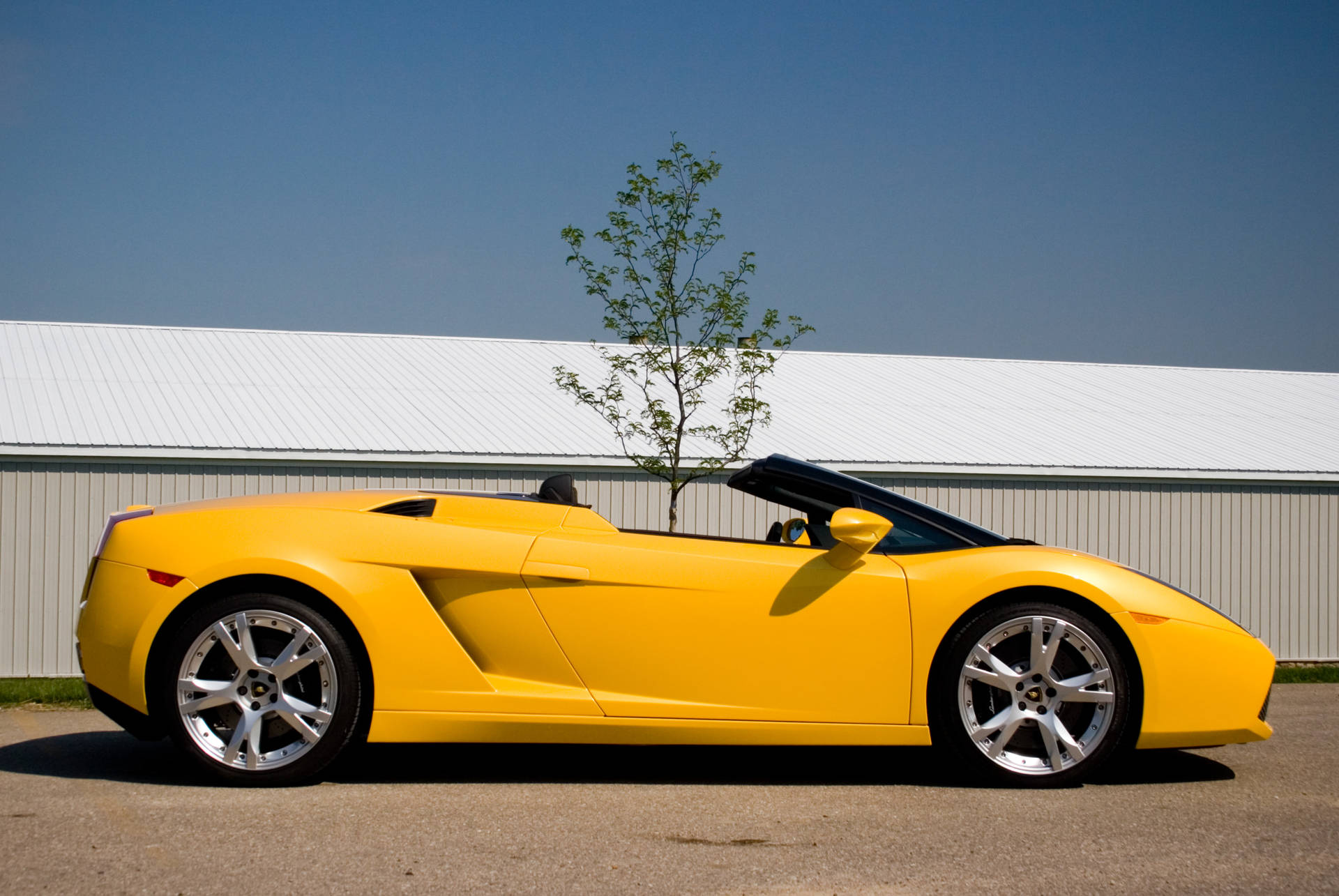 4K Lamborghini Gallardo i gul maling fokuserer på sporty elegance. Wallpaper