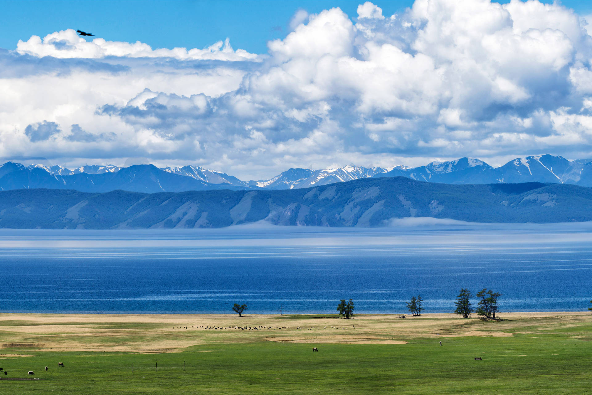 4k landskab Khuvsgul-søen Mongoliet: Wallpaper