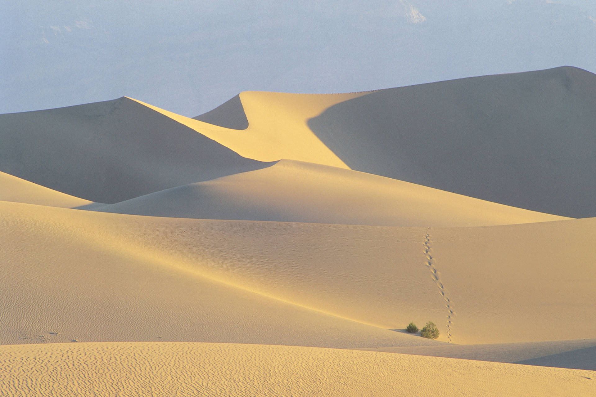 Paesaggiodel Sahara Nel Formato 4k Sfondo