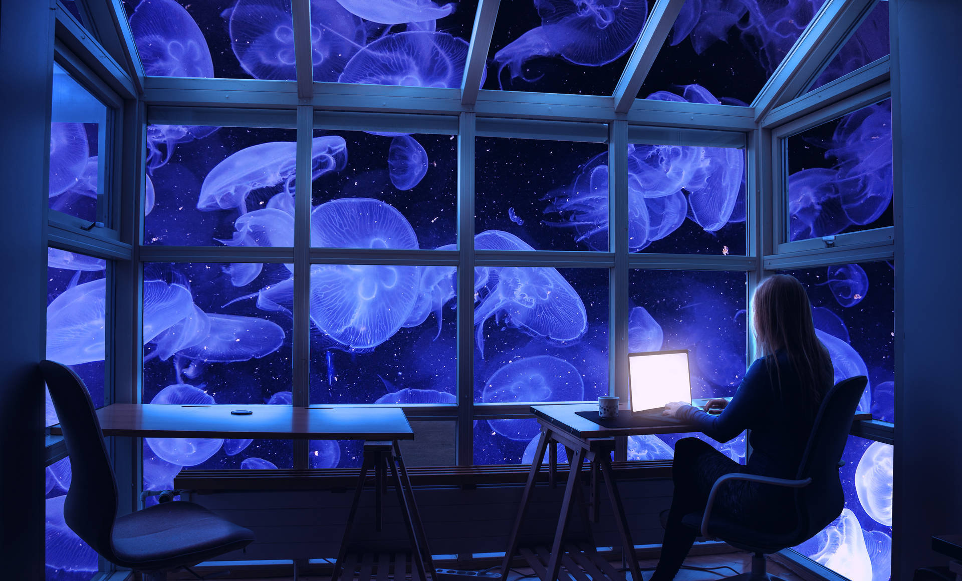 4k Laptop Jellyfish Window Wallpaper