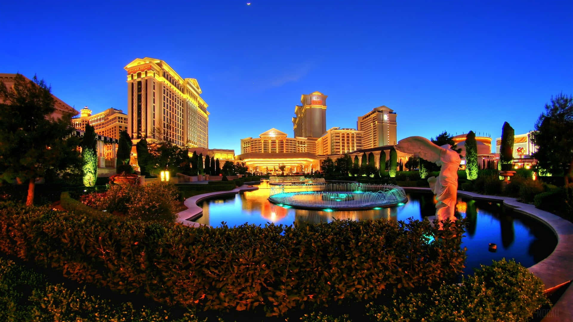 Experience the Glitz and Glamour of Las Vegas
