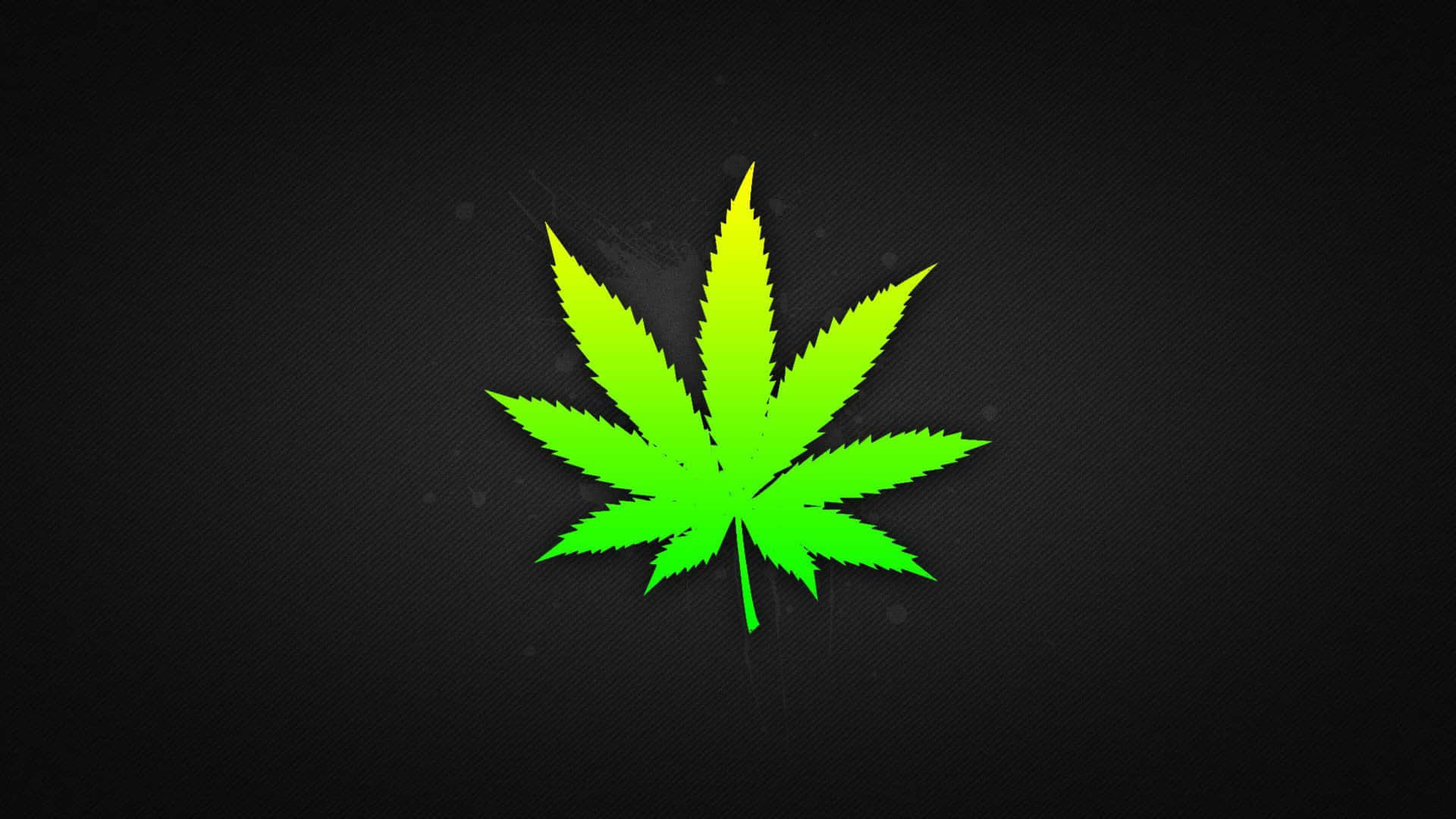 Hojade Marihuana En 4k Fondo de pantalla