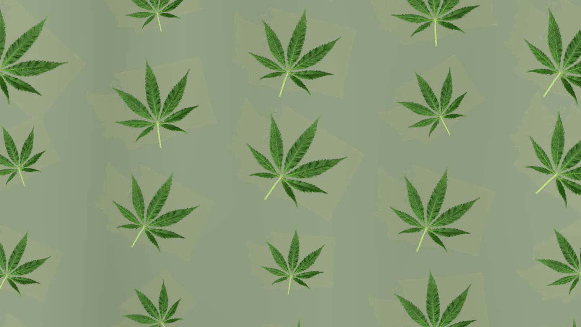 4k Green Marijuana Wallpaper