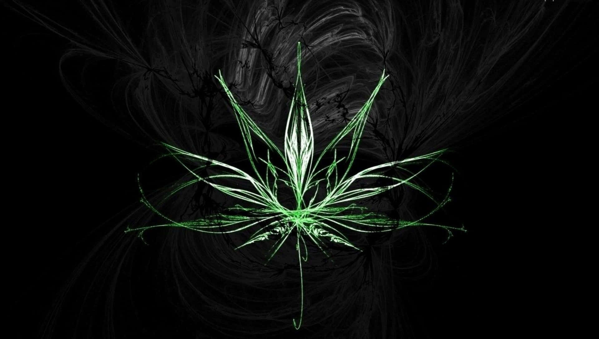 4k Marihuana I Fokus Tapet: En 4k baggrund, der viser marihuana i fokus. Wallpaper