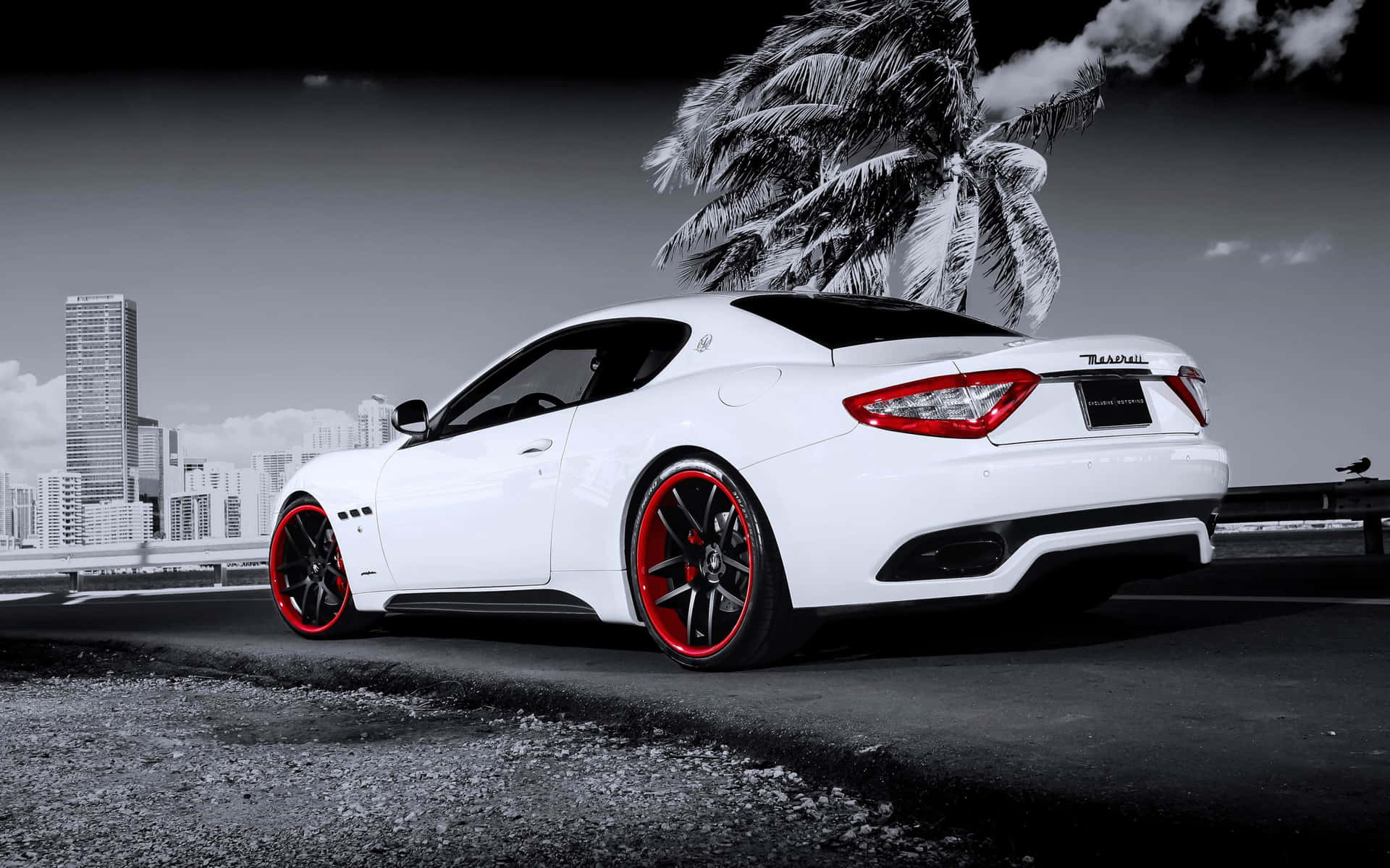 Maseratiblanco Con Detalles En Rojo En 4k Fondo de pantalla