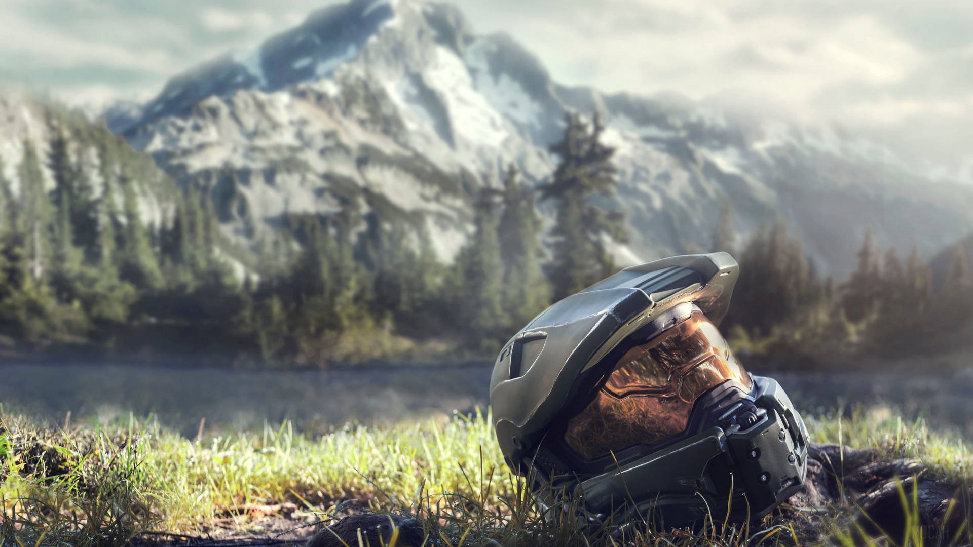 4k Master Chief Helmet On The Grass Picture