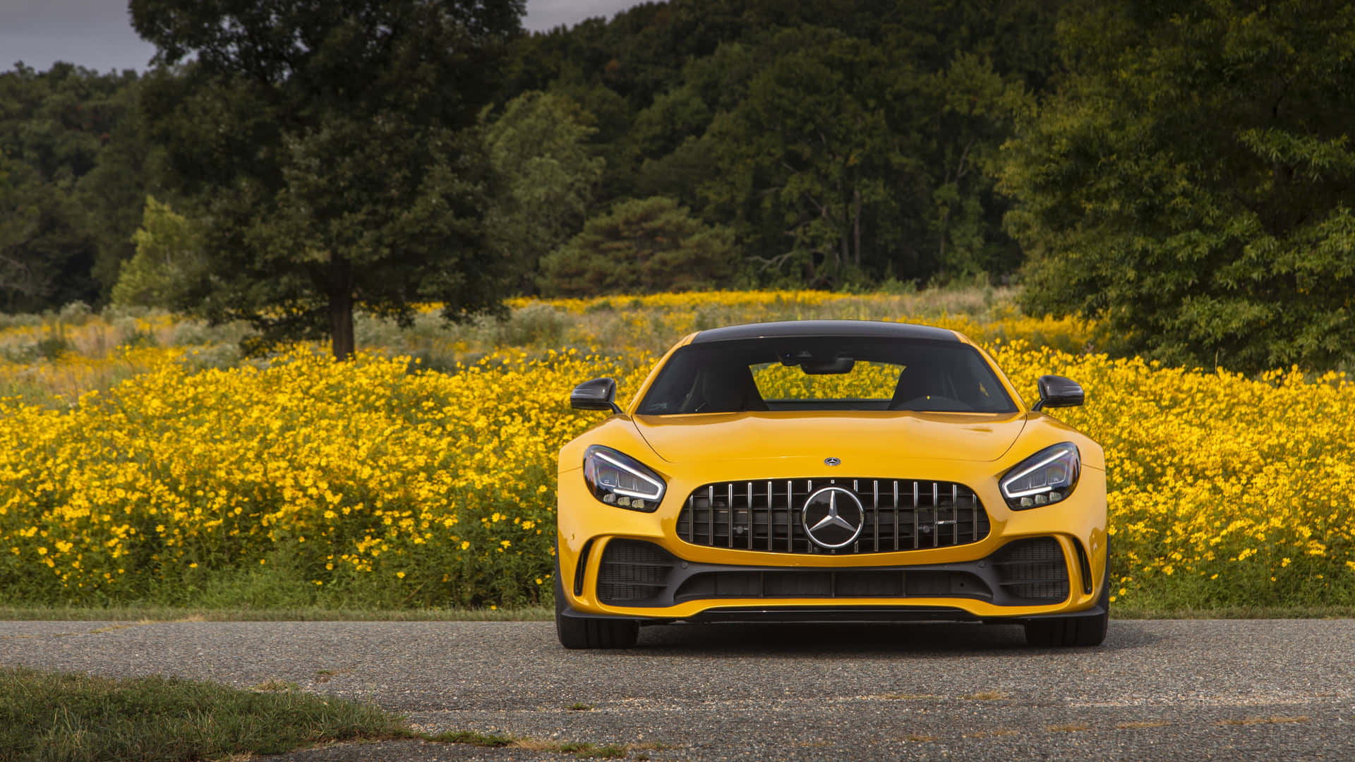 Stunning 4K Mercedes Wallpaper Showcasing a Luxury Vehicle in Action