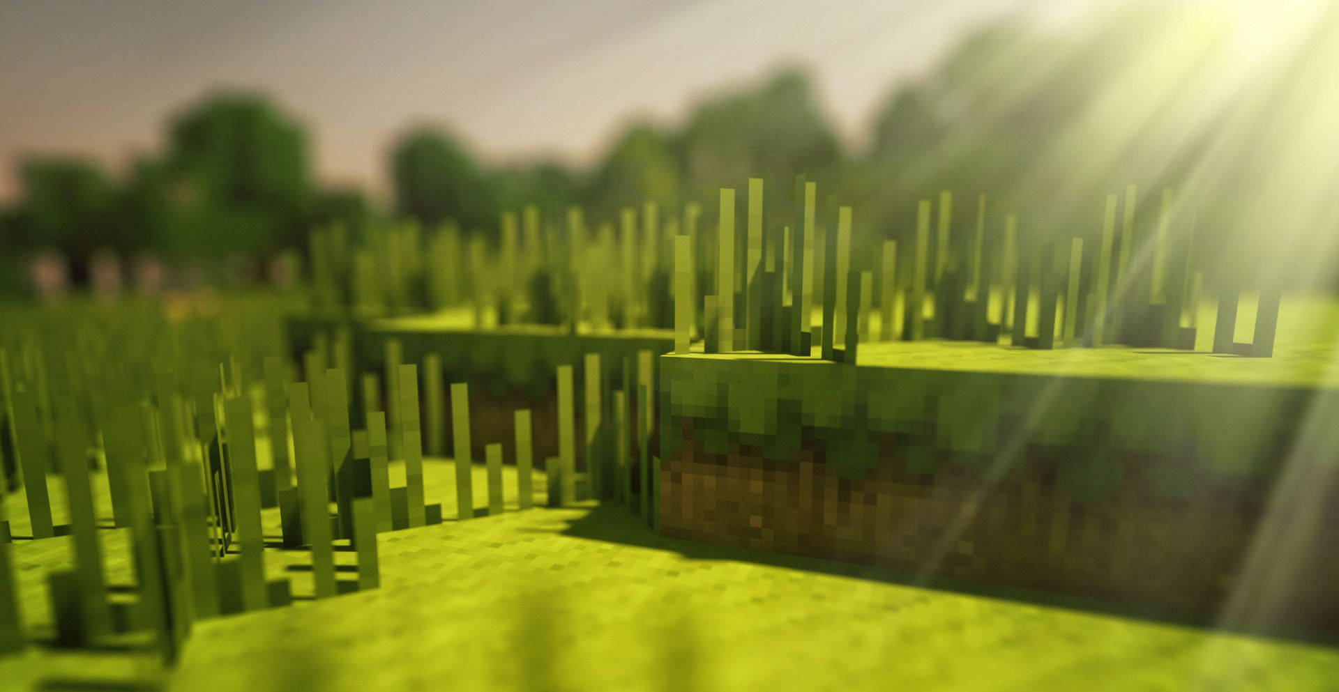 4k Minecraft Grass Wallpaper