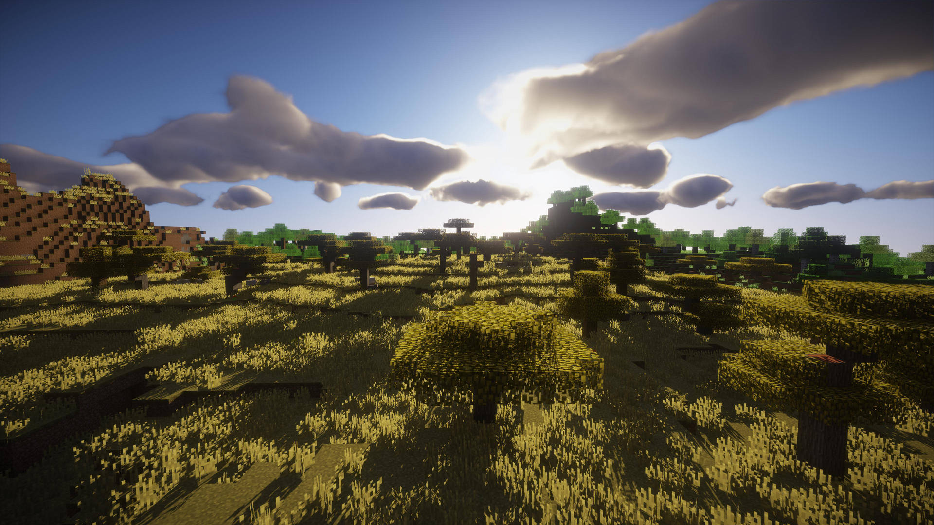 4k Minecraft Plethora Of Trees Wallpaper