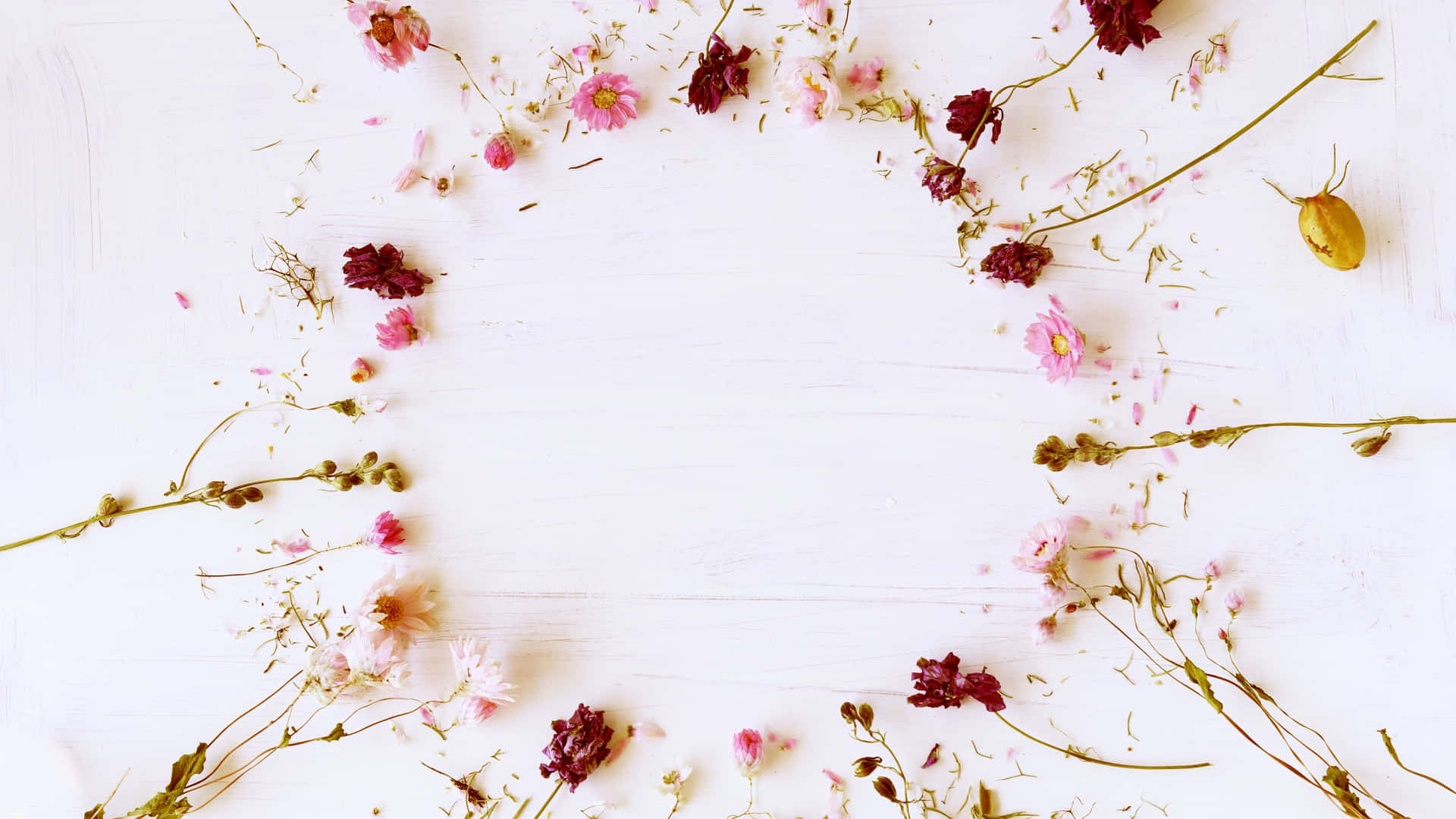 Einkreis Aus Getrockneten Blumen Auf Einem Weißen Hintergrund Wallpaper